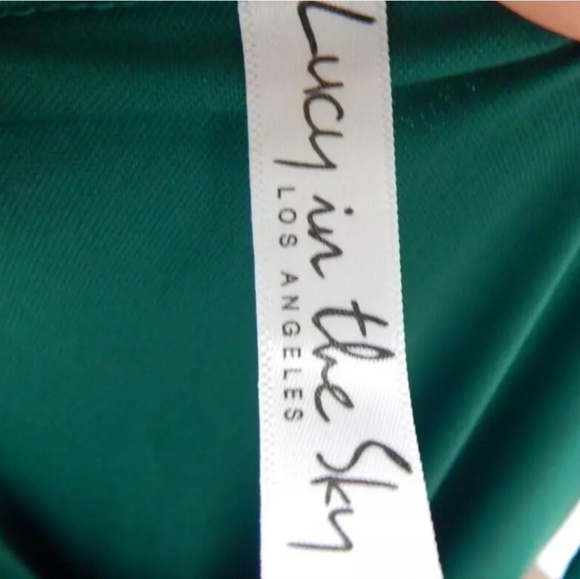 Lucy in the Sky Ruched One Shoulder Dress - Picture 5 of 5